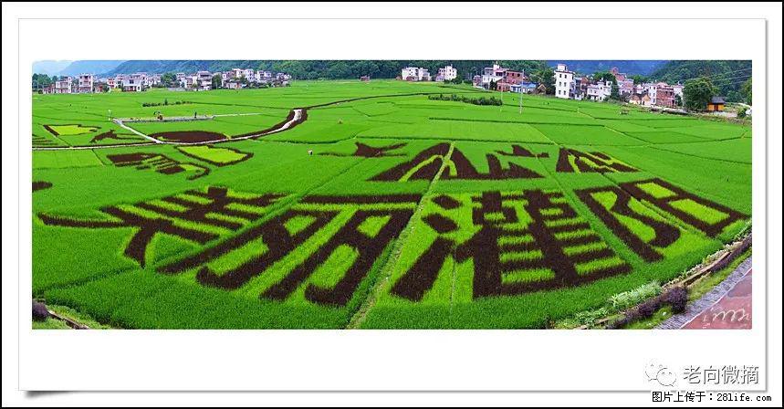 【春天,广西桂林灌阳县向您发出邀请!】开篇 - 游山玩水 - 三明生活社区 - 三明28生活网 sm.28life.com