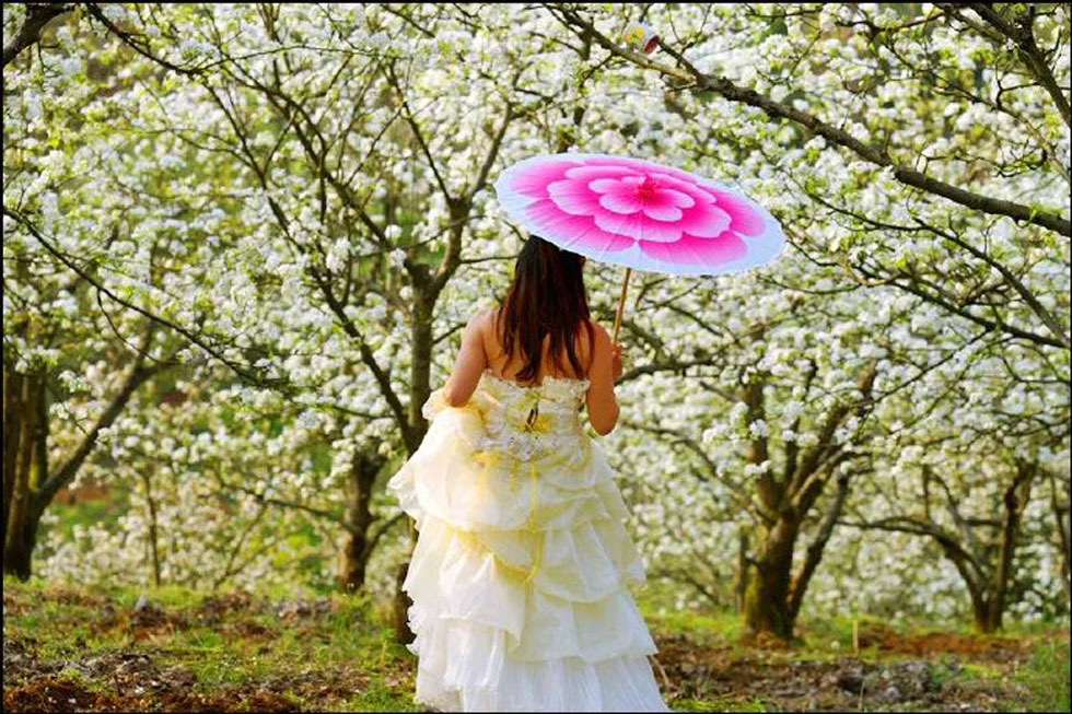 【春天,广西桂林灌阳县向您发出邀请!】我们在灌阳看梨花 - 游山玩水 - 三明生活社区 - 三明28生活网 sm.28life.com