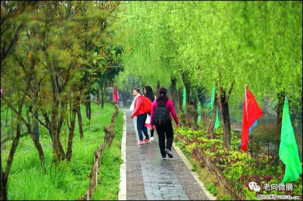 【春天,广西桂林灌阳县向您发出邀请!】江口老街又逢春 - 游山玩水 - 三明生活社区 - 三明28生活网 sm.28life.com