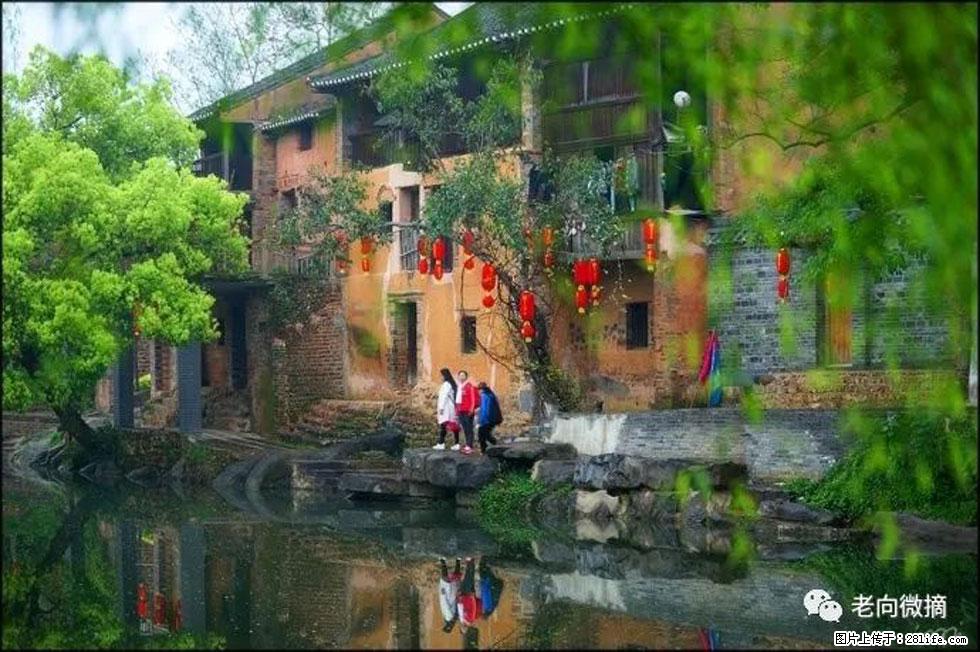 【春天,广西桂林灌阳县向您发出邀请!】江口老街又逢春 - 游山玩水 - 三明生活社区 - 三明28生活网 sm.28life.com