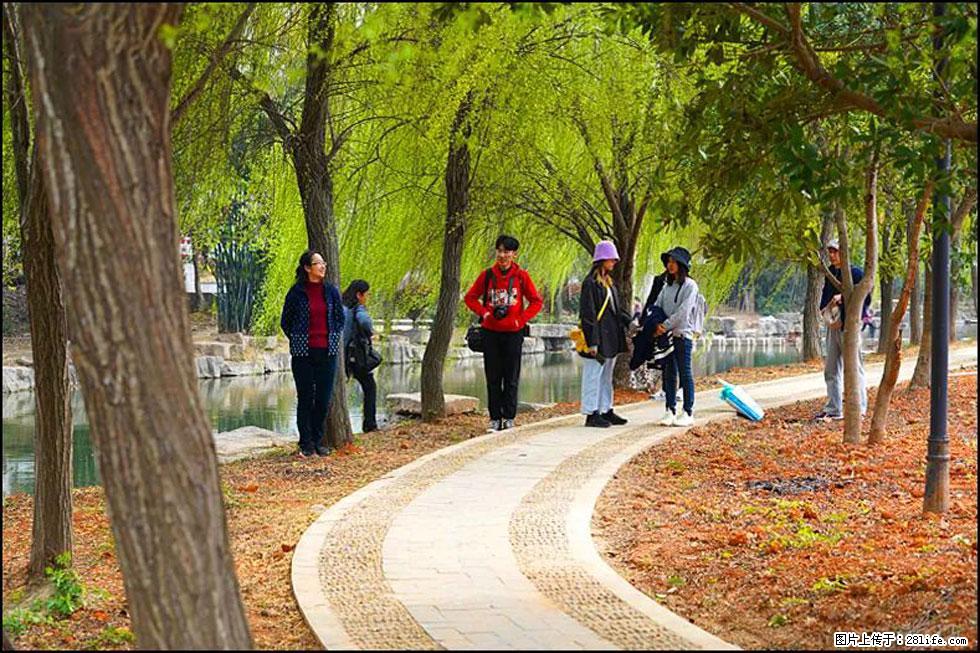 【春天,广西桂林灌阳县向您发出邀请!】江口老街又逢春 - 游山玩水 - 三明生活社区 - 三明28生活网 sm.28life.com