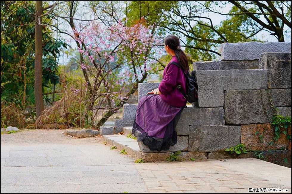 【春天,广西桂林灌阳县向您发出邀请!】江口老街又逢春 - 游山玩水 - 三明生活社区 - 三明28生活网 sm.28life.com