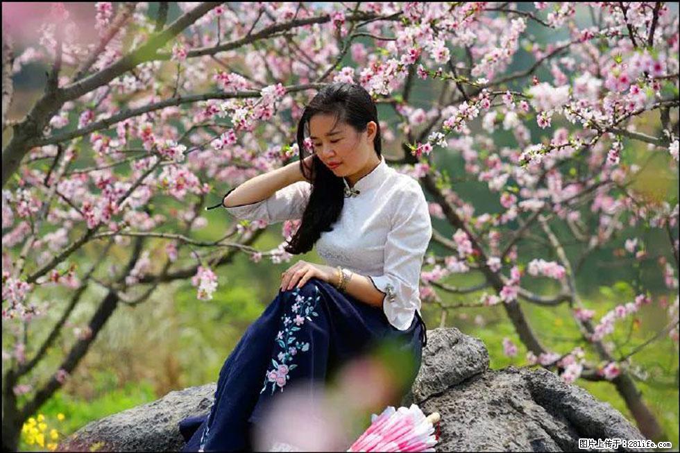 【春天,广西桂林灌阳县向您发出邀请!】望月岭上桃花开 - 游山玩水 - 三明生活社区 - 三明28生活网 sm.28life.com