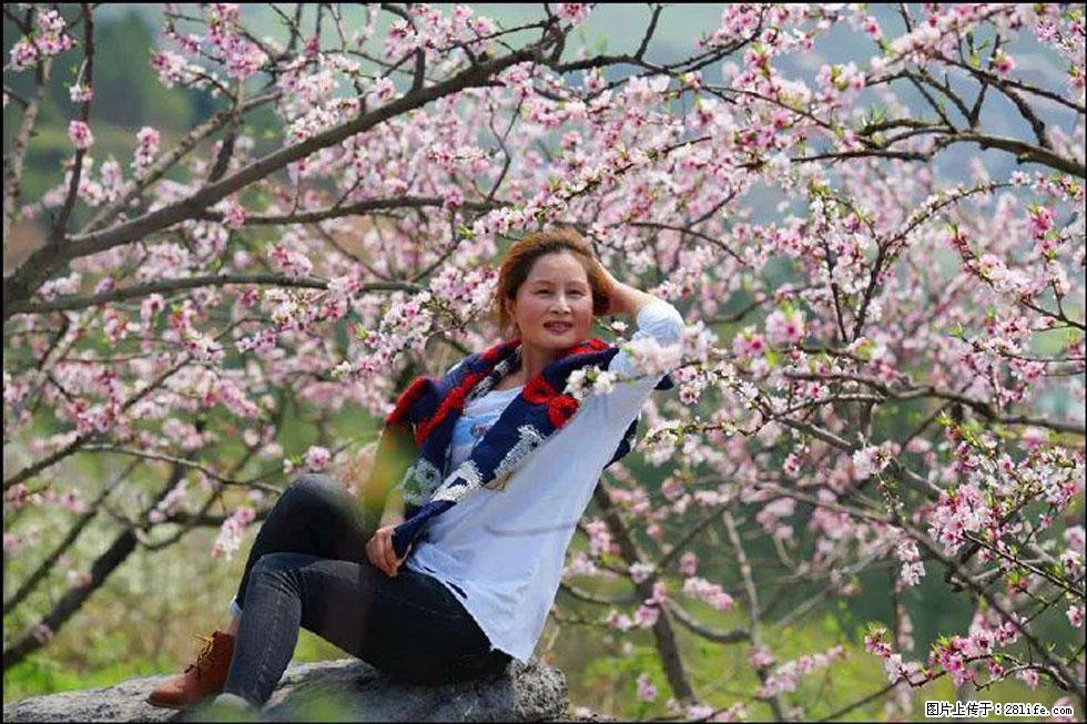 【春天,广西桂林灌阳县向您发出邀请!】望月岭上桃花开 - 游山玩水 - 三明生活社区 - 三明28生活网 sm.28life.com