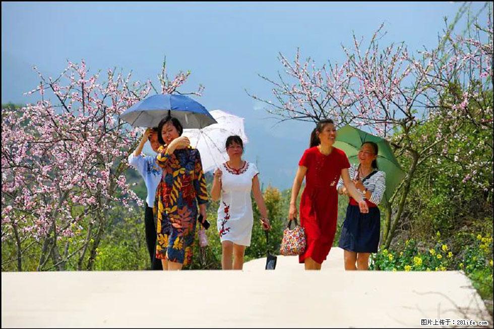 【春天,广西桂林灌阳县向您发出邀请!】望月岭上桃花开 - 游山玩水 - 三明生活社区 - 三明28生活网 sm.28life.com