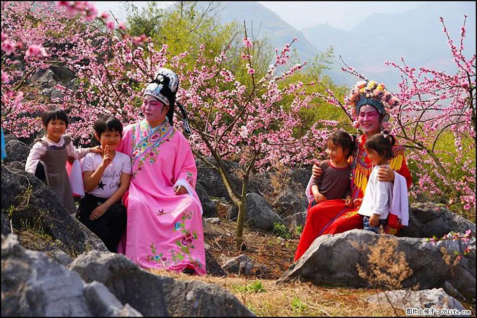 【春天,广西桂林灌阳县向您发出邀请!】望月岭上桃花开 - 游山玩水 - 三明生活社区 - 三明28生活网 sm.28life.com