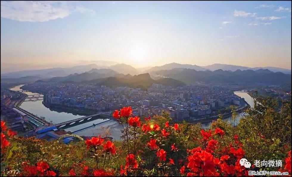 【春天,广西桂林灌阳县向您发出邀请!】登麒麟山,相约映山红 - 游山玩水 - 三明生活社区 - 三明28生活网 sm.28life.com