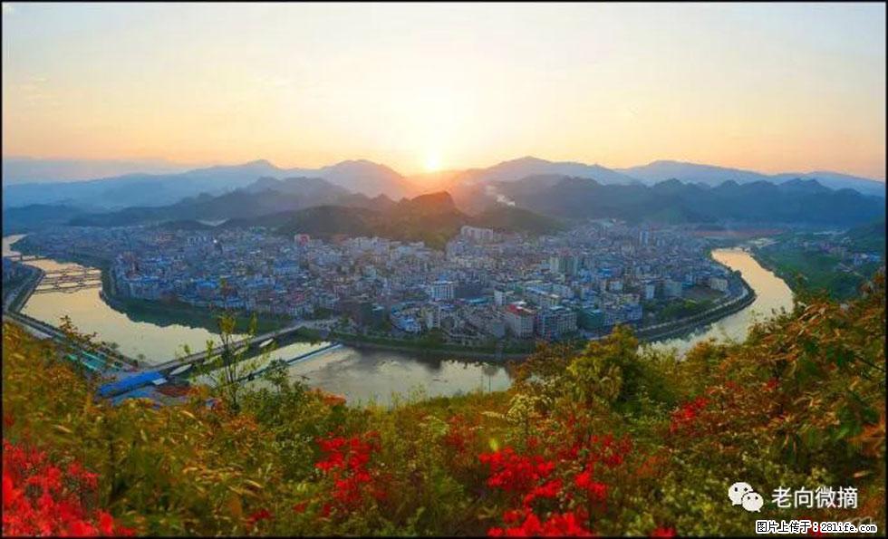 【春天,广西桂林灌阳县向您发出邀请!】登麒麟山,相约映山红 - 游山玩水 - 三明生活社区 - 三明28生活网 sm.28life.com