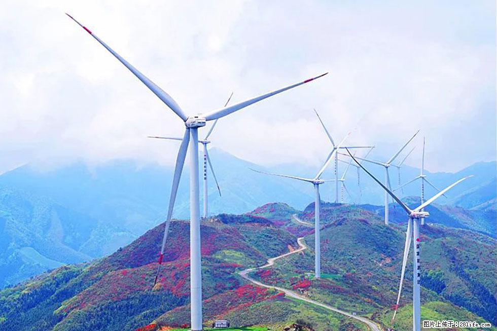 【春天,广西桂林灌阳县向您发出邀请!】春木界上映山红 - 游山玩水 - 三明生活社区 - 三明28生活网 sm.28life.com