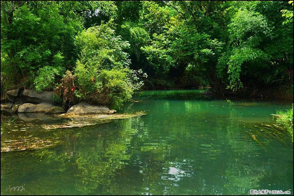 【春天,广西桂林灌阳县向您发出邀请!】如梦似幻莲溪庐 - 游山玩水 - 三明生活社区 - 三明28生活网 sm.28life.com