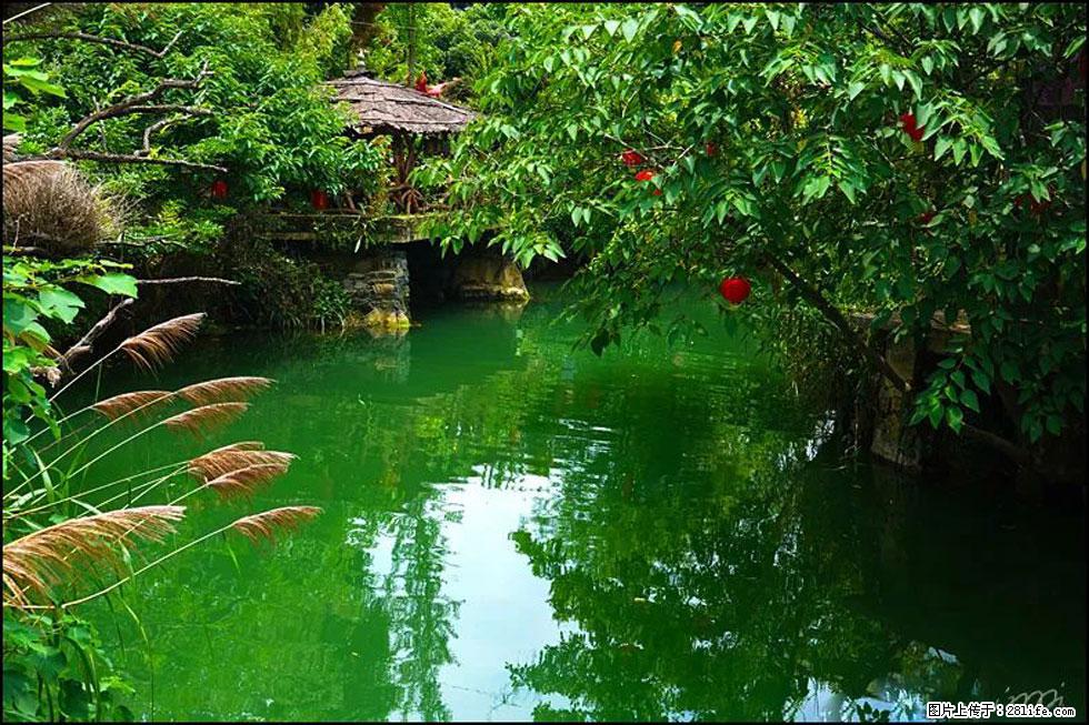 【春天,广西桂林灌阳县向您发出邀请!】如梦似幻莲溪庐 - 游山玩水 - 三明生活社区 - 三明28生活网 sm.28life.com