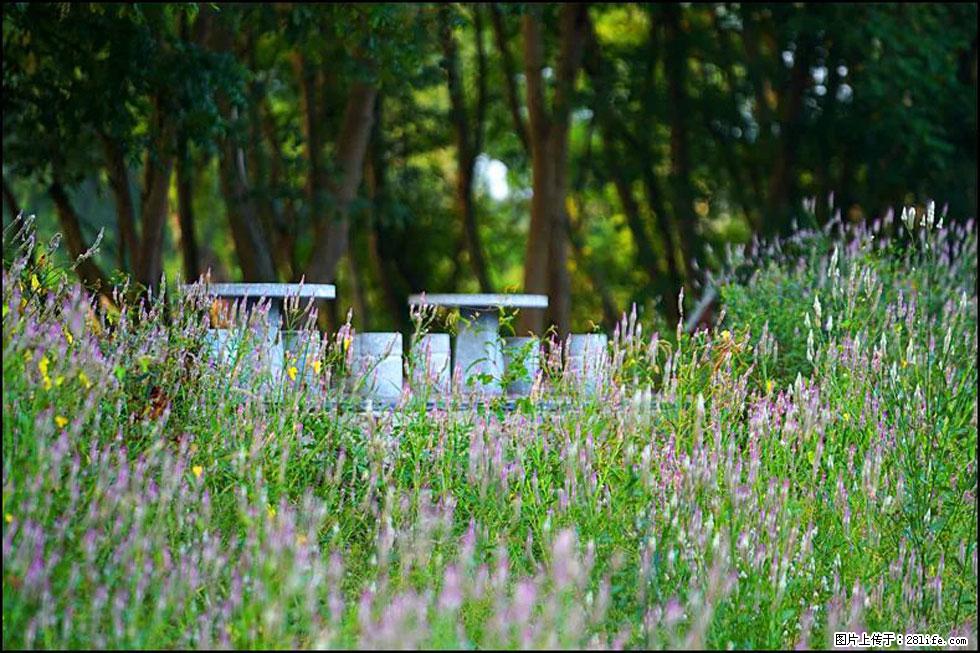 【春天,广西桂林灌阳县向您发出邀请!】熊家寨湿地公园 - 游山玩水 - 三明生活社区 - 三明28生活网 sm.28life.com