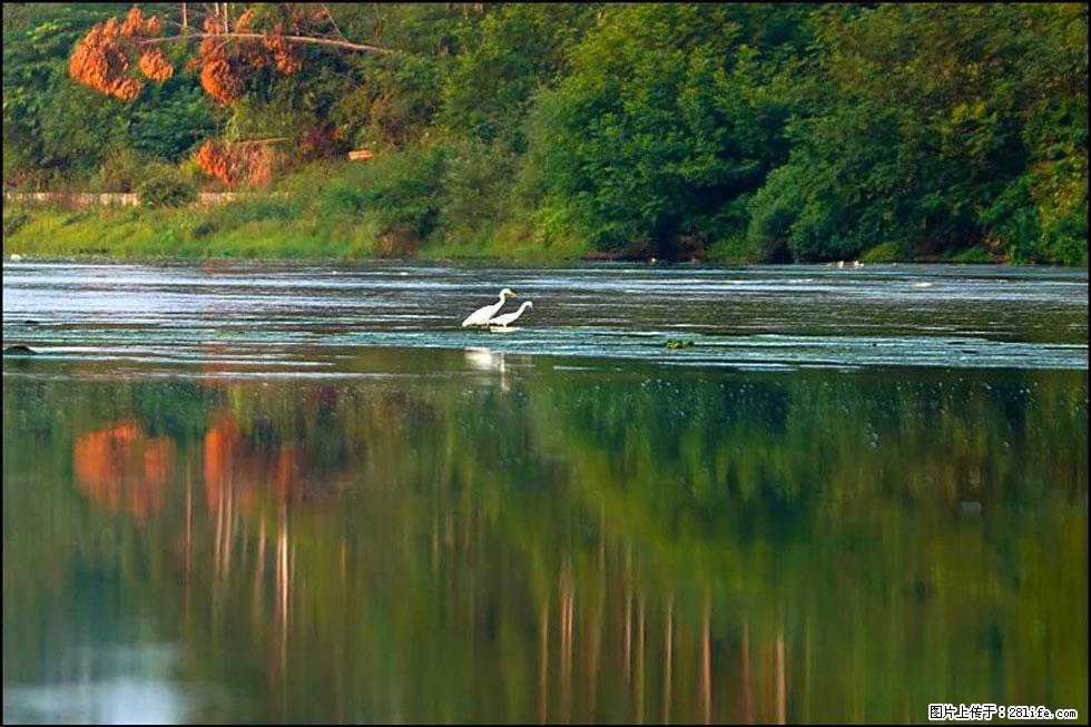【春天,广西桂林灌阳县向您发出邀请!】熊家寨湿地公园 - 游山玩水 - 三明生活社区 - 三明28生活网 sm.28life.com
