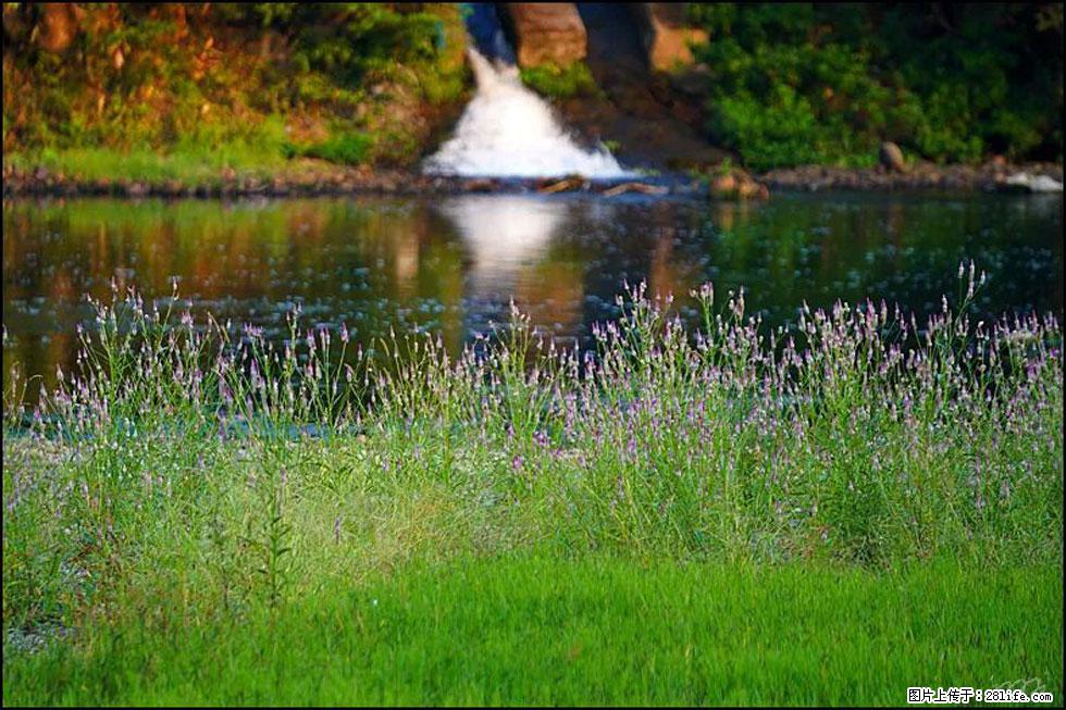 【春天,广西桂林灌阳县向您发出邀请!】熊家寨湿地公园 - 游山玩水 - 三明生活社区 - 三明28生活网 sm.28life.com