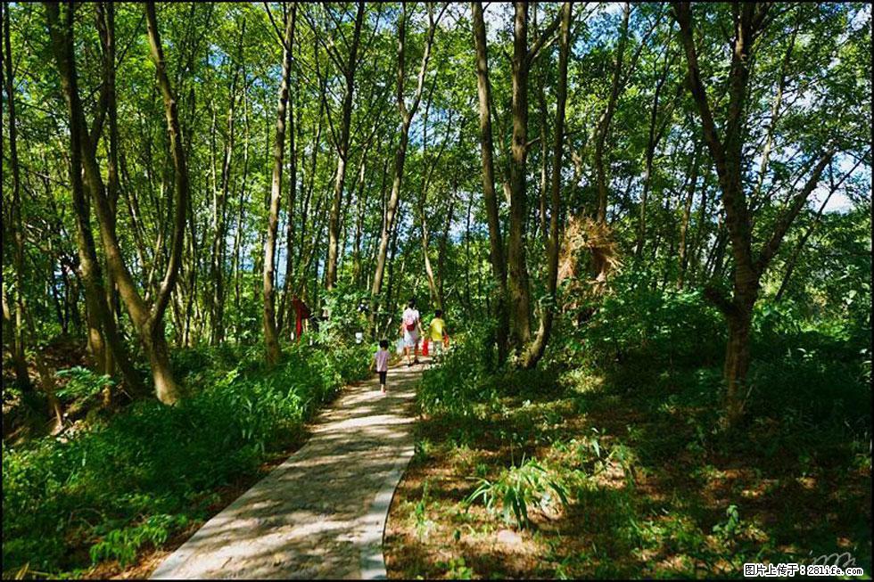 【春天,广西桂林灌阳县向您发出邀请!】熊家寨湿地公园 - 游山玩水 - 三明生活社区 - 三明28生活网 sm.28life.com