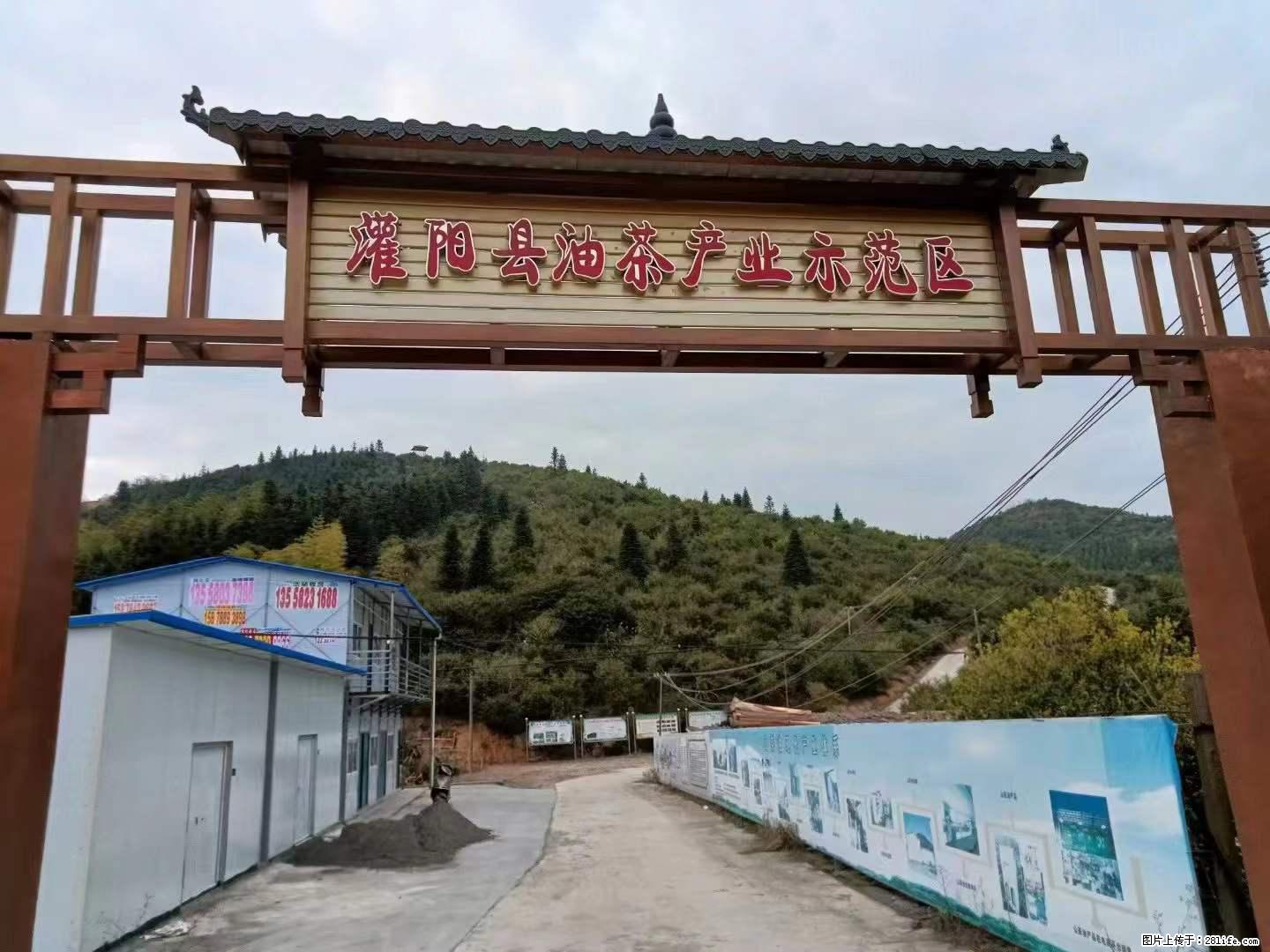 【灌阳县油茶产业示范区】一个有着充实的精神生活的人,对待身外之物自会有一种淡泊的态度 - 土特产 - 饮食特产 - 三明分类信息 - 三明28生活网 sm.28life.com