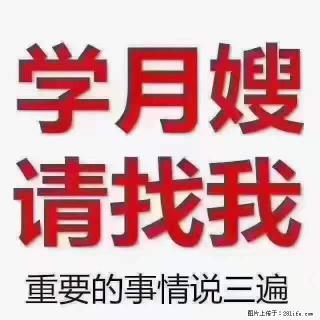 为什么要学习月嫂，育婴师？ - 三明28生活网 sm.28life.com
