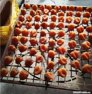 广西桂林平乐桥亭【柿饼之乡】2025年纯手工制作、无任何添加剂的第一批柿饼准备上市了，欢迎联系订购！ - 三明28生活网 sm.28life.com