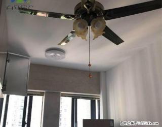 整租，步行街商业中心。拎包入住。 - 三明28生活网 sm.28life.com