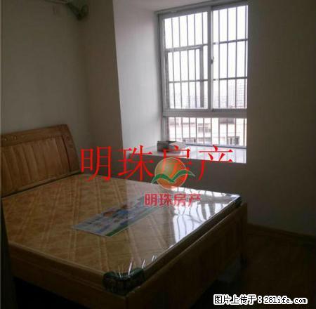 五金机电城 温馨2室电梯房 停车免费 靠近白沙小学 1400 - 房屋出租 - 房屋租售 - 三明分类信息 - 三明28生活网 sm.28life.com