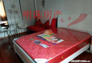 四路附近精装单身公寓，中间楼层，交通方便，干净温馨 - 三明28生活网 sm.28life.com