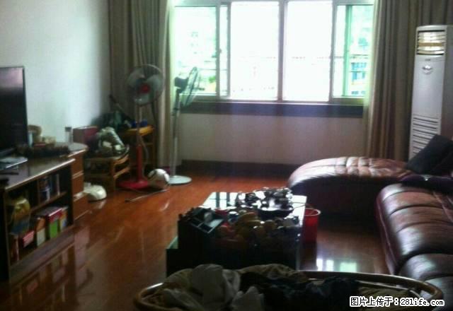 乾隆新村房子出租精装可拎包入住看房方便 - 房屋出租 - 房屋租售 - 三明分类信息 - 三明28生活网 sm.28life.com