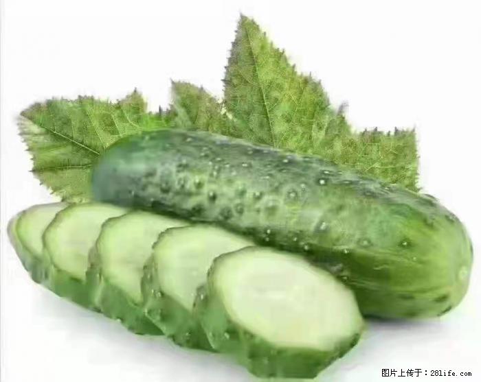 【生活小常识】吃黄瓜的好处 - 生活百科 - 三明生活社区 - 三明28生活网 sm.28life.com