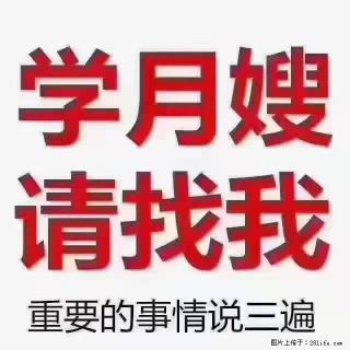 【招聘】月嫂，上海徐汇区 - 三明28生活网 sm.28life.com