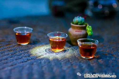 时间果百年古树2025年春红茶 - 购物交流 - 三明生活社区 - 三明28生活网 sm.28life.com