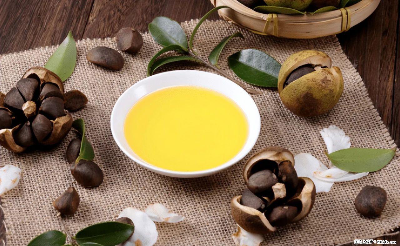 揭秘茶油的5大核心营养成分！被称为人体健康的“守护盾”！ - 三明生活资讯 - 三明28生活网 sm.28life.com