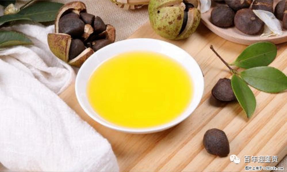 揭秘茶油的5大核心营养成分！被称为人体健康的“守护盾”！ - 三明生活资讯 - 三明28生活网 sm.28life.com