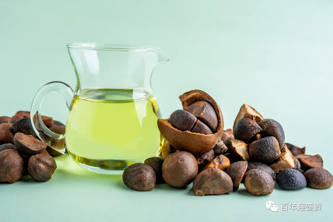 世界没有真相，只有认知，最好的食用油是中国的山茶油！ - 三明生活资讯 - 三明28生活网 sm.28life.com