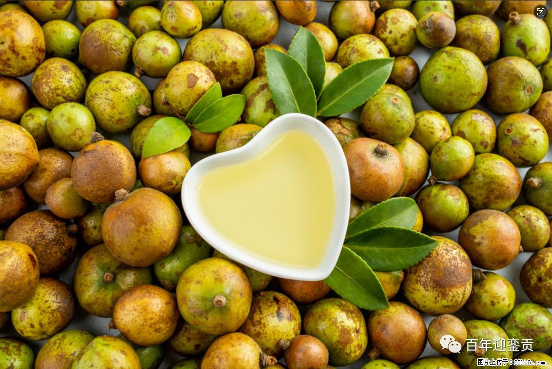 世界没有真相，只有认知，最好的食用油是中国的山茶油！ - 三明生活资讯 - 三明28生活网 sm.28life.com