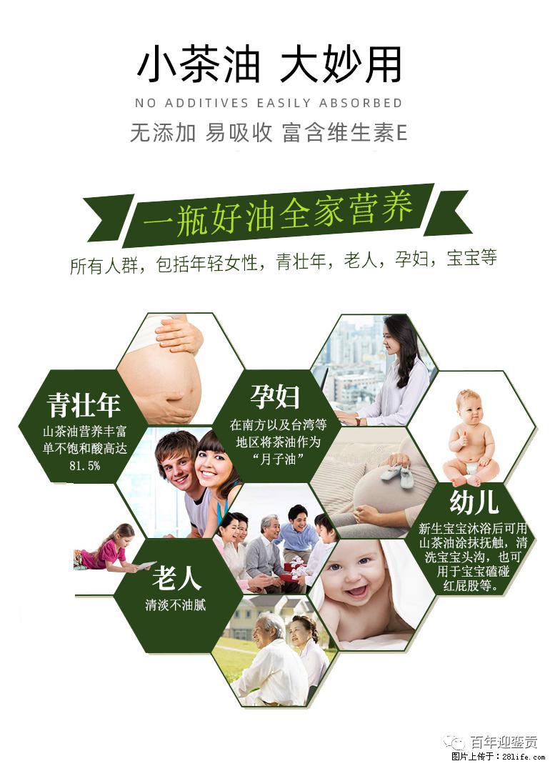 世界没有真相，只有认知，最好的食用油是中国的山茶油！ - 三明生活资讯 - 三明28生活网 sm.28life.com