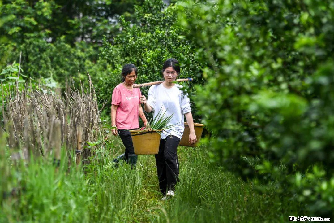 全网追的“扁担女孩”，找了一份暑假工，时薪12元 - 三明生活资讯 - 三明28生活网 sm.28life.com