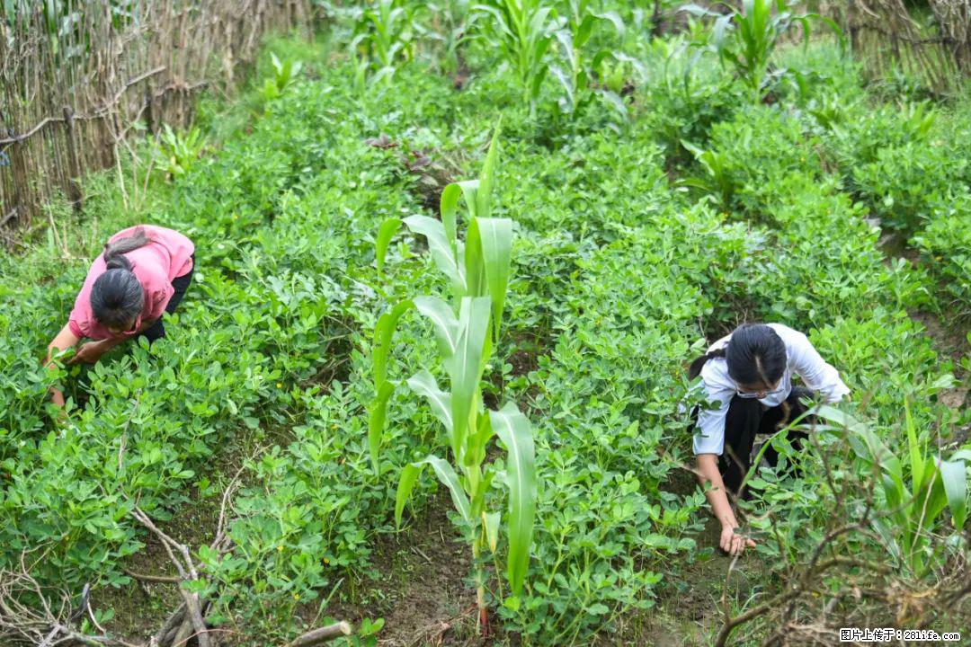 全网追的“扁担女孩”，找了一份暑假工，时薪12元 - 三明生活资讯 - 三明28生活网 sm.28life.com
