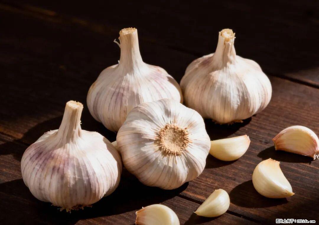 关于大蒜，除了“天然抗生素”，这4个谣言更该警惕! - 三明生活资讯 - 三明28生活网 sm.28life.com