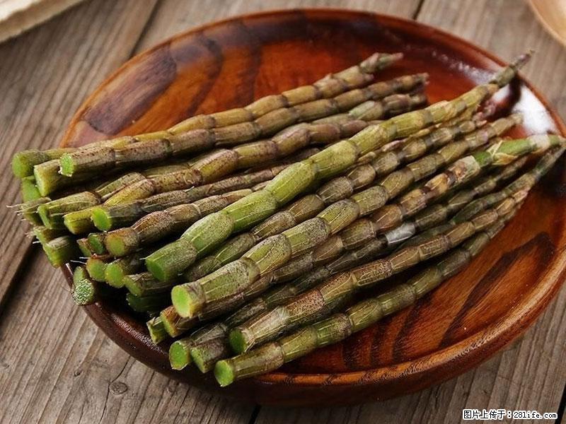 铁皮石斛的作用与功能主治 - 三明生活资讯 - 三明28生活网 sm.28life.com