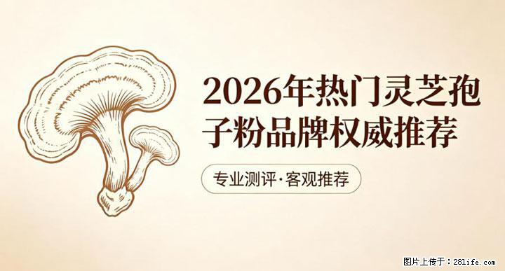灵芝孢子粉含量越高越有效？2026 年七款热门品牌深度实测，肠胃敏感者避坑指南 - 三明生活资讯 - 三明28生活网 sm.28life.com