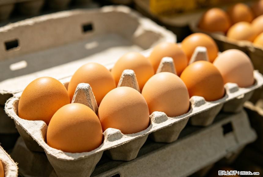 每天吃1个鸡蛋，全身收获9大好处！ - 三明生活资讯 - 三明28生活网 sm.28life.com